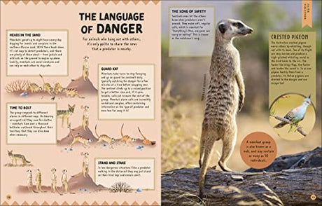 How Not to Get Eaten: More than 75 Incredible Animal Defenses (Wonders of Wildlife) - Retail Maharaj