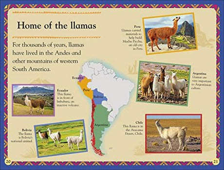 Llamas - Retail Maharaj