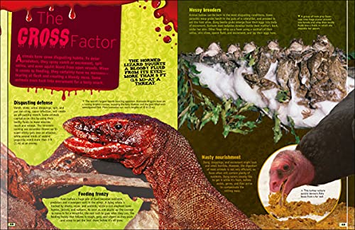 The Animal Book - Retail Maharaj