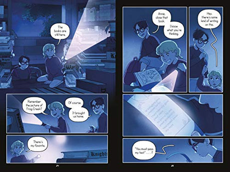 The Knight at Dawn Graphic Novel - Retail Maharaj