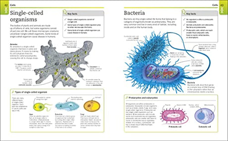 Biology: The Ultimate Bitesize Study Gui - Retail Maharaj