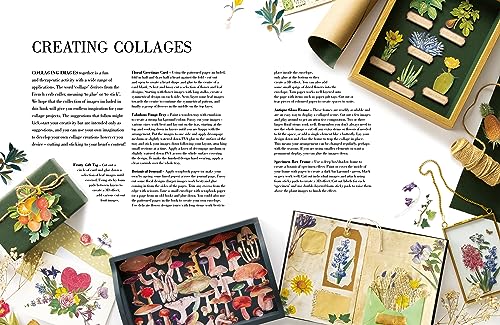 BOTANICAL ART TO CUT OUT & COLLAGE: Over 500 Botanical Illustrations to Inspire Creativity - Retail Maharaj