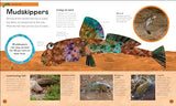 The Very Hungry Caterpillar's Very First Animal Encyclopedia: An Introduction to Animals, For VERY Hungry Young Minds - Retail Maharaj