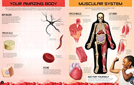 Inside Out Human Body - Retail Maharaj
