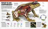 Knowledge Encyclopedia Animal!: The Animal Kingdom as you've Never Seen it Before - Retail Maharaj