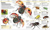 Knowledge Encyclopedia Animal!: The Animal Kingdom as you've Never Seen it Before - Retail Maharaj