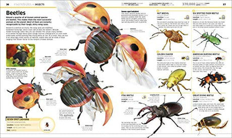 Knowledge Encyclopedia Animal!: The Animal Kingdom as you've Never Seen it Before - Retail Maharaj