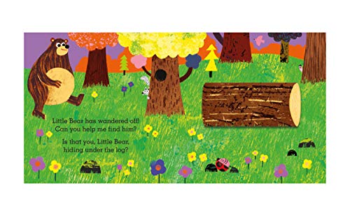 Is that you, Little Bear?: A pull-and-slide flap book - Retail Maharaj