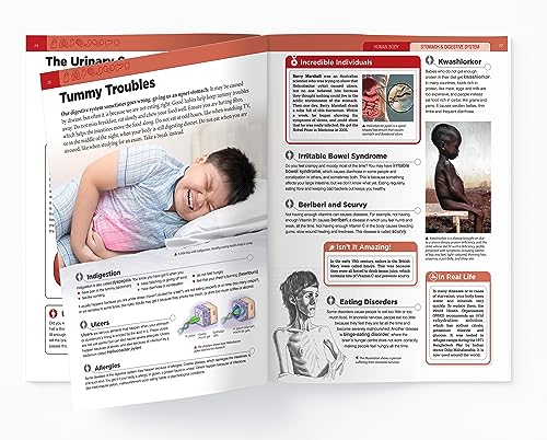 Human Body - Stomach And Digestive System: Knowledge Encyclopedia For Children - Retail Maharaj