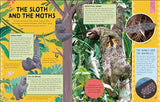 Odd Animals Out (Wonders of Wildlife) - Retail Maharaj