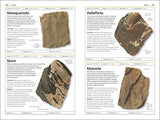 Rocks and Minerals - Retail Maharaj