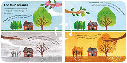 Trees: A lift-the-flap eco book - Retail Maharaj