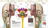 Knowledge Encyclopedia: Human Body!: Your Amazing Body As You've Never Seen It Before - Retail Maharaj