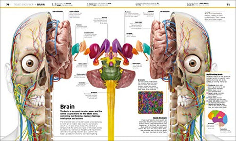 Knowledge Encyclopedia: Human Body!: Your Amazing Body As You've Never Seen It Before - Retail Maharaj