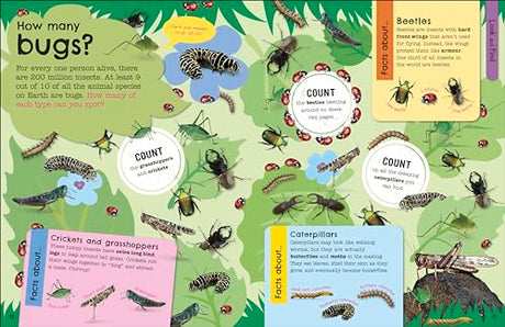 The Fact-Packed Activity Book: Animals - Retail Maharaj