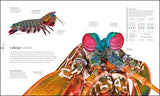 The Science of Animals - Retail Maharaj