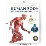 Human Body - Skeletal And Muscular System: Knowledge Encyclopedia For Children - Retail Maharaj