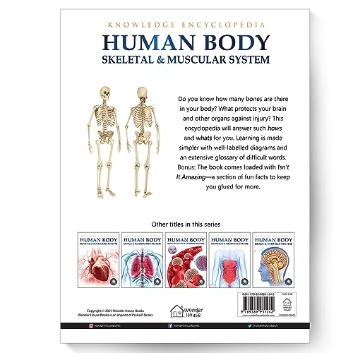 Human Body - Skeletal And Muscular System: Knowledge Encyclopedia For Children - Retail Maharaj