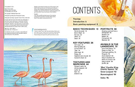 Ready to Paint in 30 Minutes: Animals in Watercolour: Build your skills with quick & easy painting projects - Retail Maharaj