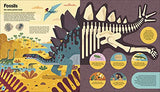 Evolved: An Illustrated Guide to Evolution - Retail Maharaj