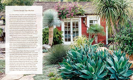 Striking Succulent Gardens: Plants and Plans for Designing Your Low-Maintenance Landscape [A Gardening Book] - Retail Maharaj