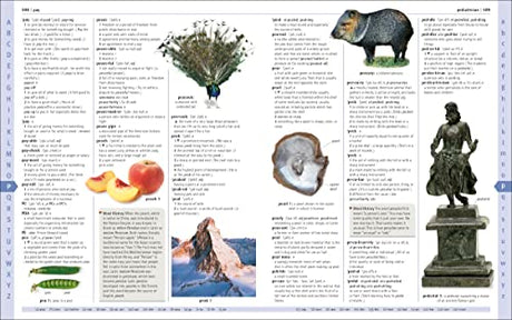 Merriam-Webster Children's Dictionary, New Edition: Features 3,000 Photographs and Illustrations - Retail Maharaj