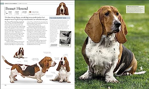The Dog Encyclopedia: The Definitive Visual Guide - Retail Maharaj