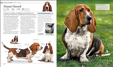 The Dog Encyclopedia: The Definitive Visual Guide - Retail Maharaj
