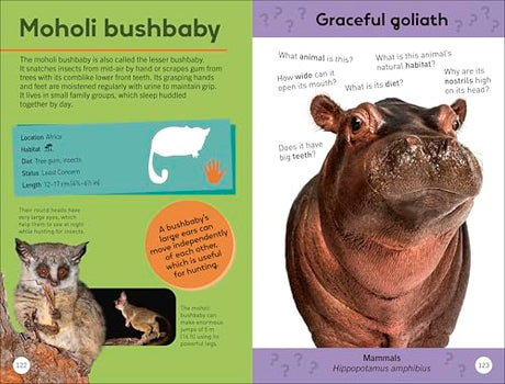 Quiz Yourself Clever! Animals of the World (DK Quiz Yourself Clever) - Retail Maharaj