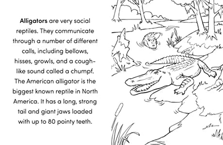 Wild Animal Book for Kids: Coloring Fun and Awesome Facts (A Did You Know? Coloring Book) - Retail Maharaj