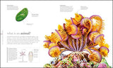 The Science of Animals - Retail Maharaj