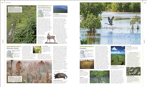 Earth: The Definitive Visual Guide (DK Definitive Visual Encyclopedias) - Retail Maharaj
