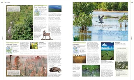 Earth: The Definitive Visual Guide (DK Definitive Visual Encyclopedias) - Retail Maharaj