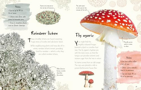 An Anthology of Fungi: A Collection of 100 Mushrooms, Toadstools and Other Fungi - Retail Maharaj
