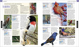 Bird: The Definitive Visual Guide - Retail Maharaj