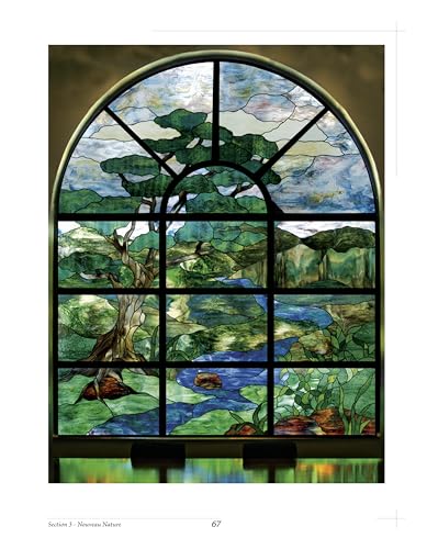 Windows of Elegance: Glass REflections Studios of Fort Lauderdale: Volume 2 - Retail Maharaj