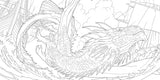 Dragons of the Realms: An Official Dungeons & Dragons Coloring Book - Retail Maharaj