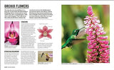 Grow Orchids: Essential Know-how and Expert Advice for Gardening Success - Retail Maharaj
