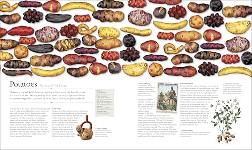 The Food Book: The Stories, Science, and History of What We Eat - Retail Maharaj