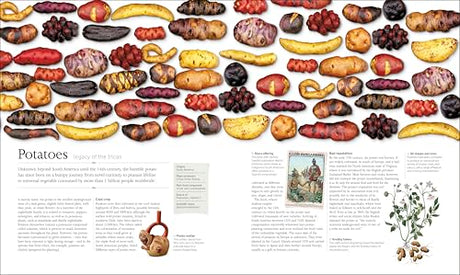 The Food Book: The Stories, Science, and History of What We Eat - Retail Maharaj