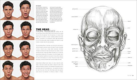 Anatomy for the Artist - Retail Maharaj