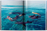 Michael Muller. Sharks - Retail Maharaj