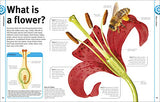 Trees, Leaves, Flowers & Seeds - Retail Maharaj