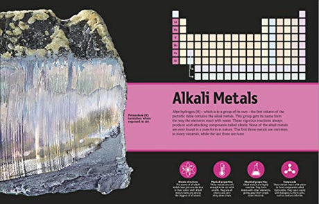 The Periodic Table Book: A Visual Encyclopedia of the Elements | An Illustrated Periodic Table for Kids | Explore Properties, Uses, Fun Facts, and Simple Explanations of All 118 Chemical Elements - Retail Maharaj