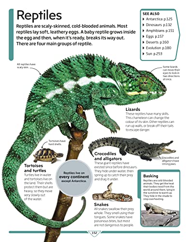 DK Children's Encyclopedia: The Book That Explains Everything - Retail Maharaj