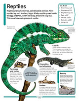 DK Children's Encyclopedia: The Book That Explains Everything - Retail Maharaj