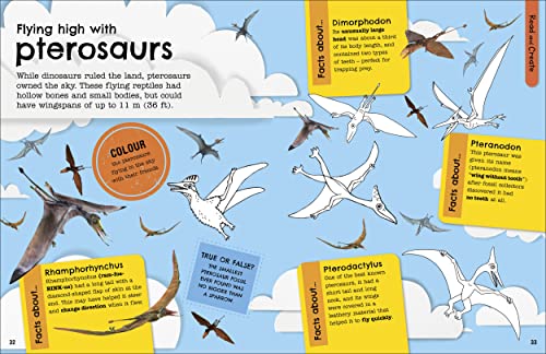The Fact-Packed Activity Book: Dinosaurs - Retail Maharaj