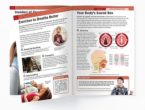Human Body - Lungs And Respiratory System: Knowledge Encyclopedia For Children - Retail Maharaj