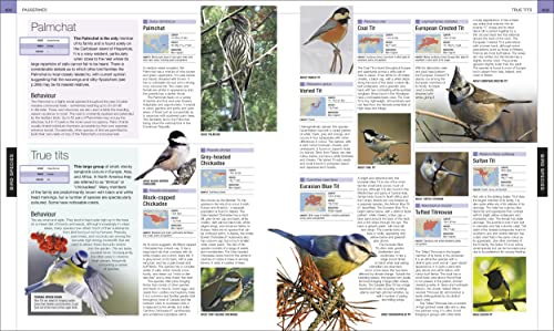 Bird: The Definitive Visual Guide - Retail Maharaj