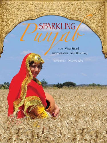 Sparkling Punjab - Retail Maharaj